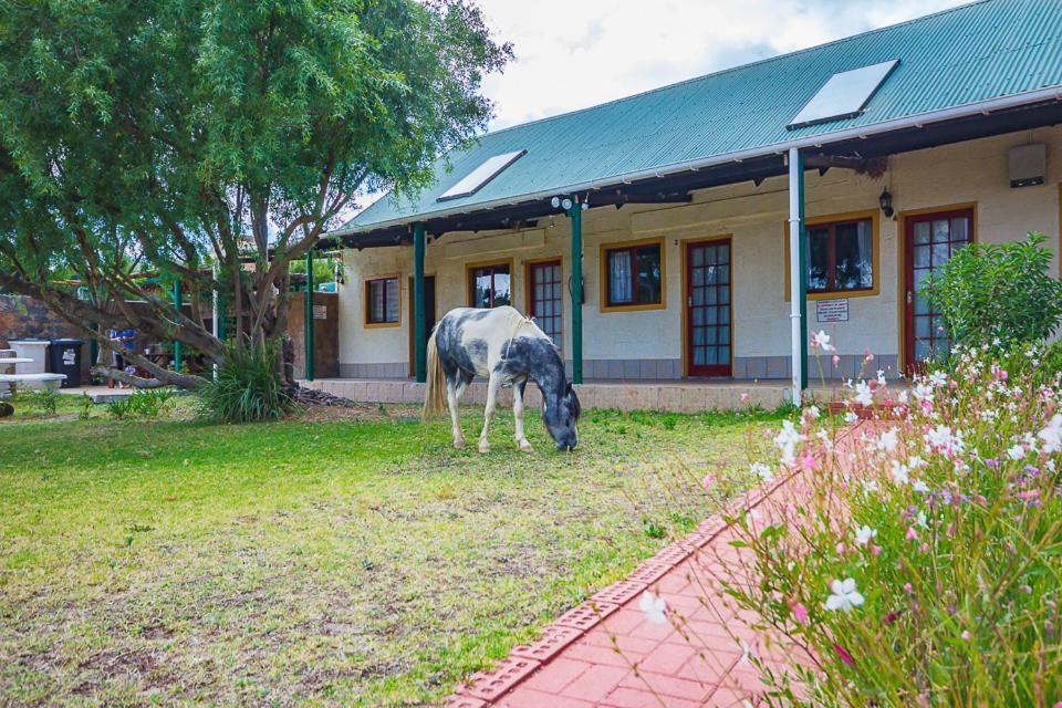 Kingfisher Hollow Gordonʼs Bay Exterior foto